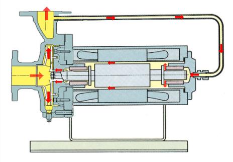 Basic Standard Canned Motor Pump
