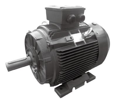 IEC Motor