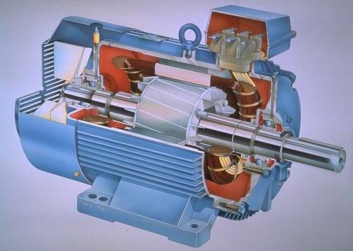 IEC Motor