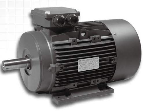 IEC Motor