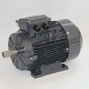Low Voltage Customized Motor( with your own Logo)