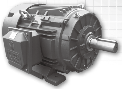 NEMA Motor