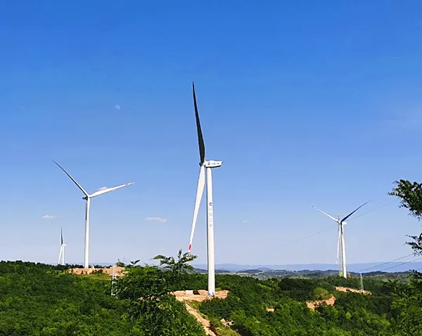 New Energy Blowing to South Africa